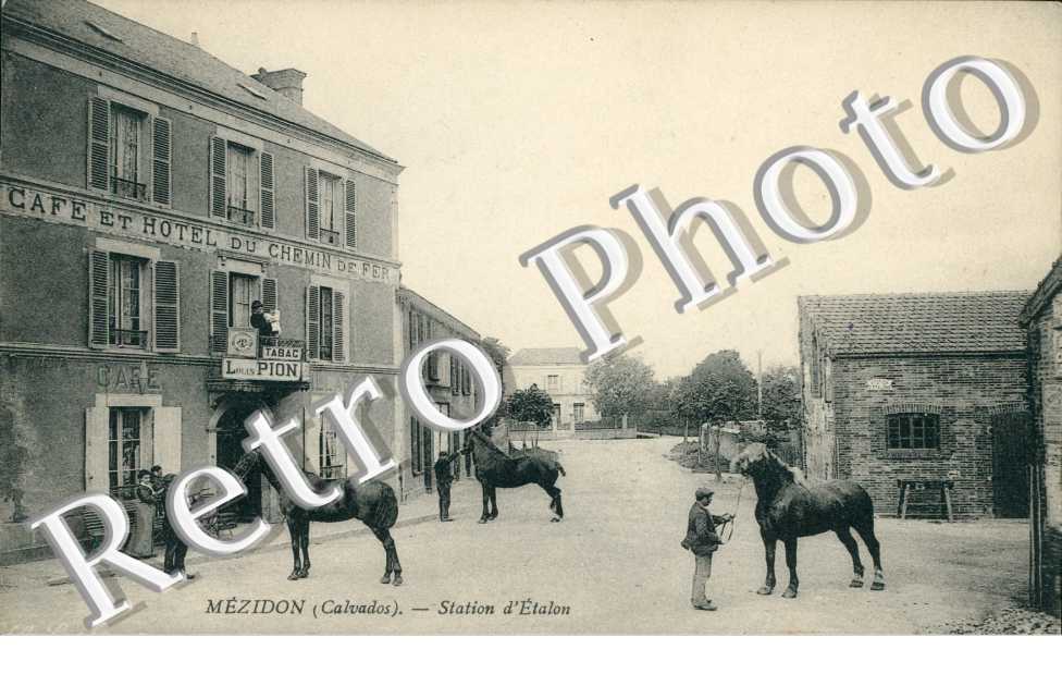 Station d'etalon
