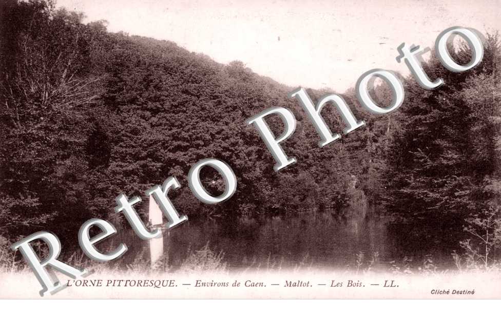 Les bois