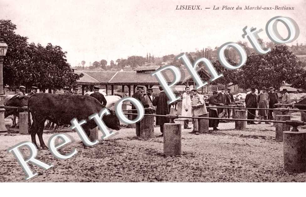 place du marche aux bestiaux
