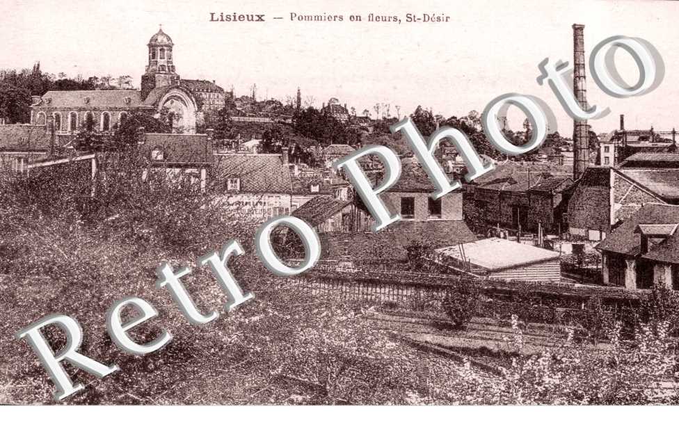 Pommiers en fleurs Saint Desir