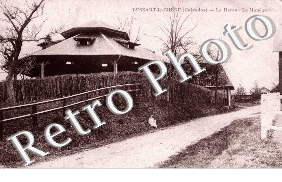 le haras, le manege
