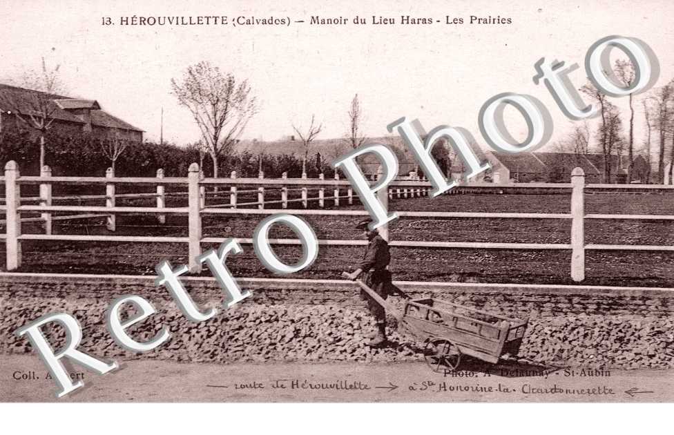 manoir du Lieu Haras, les prairies
