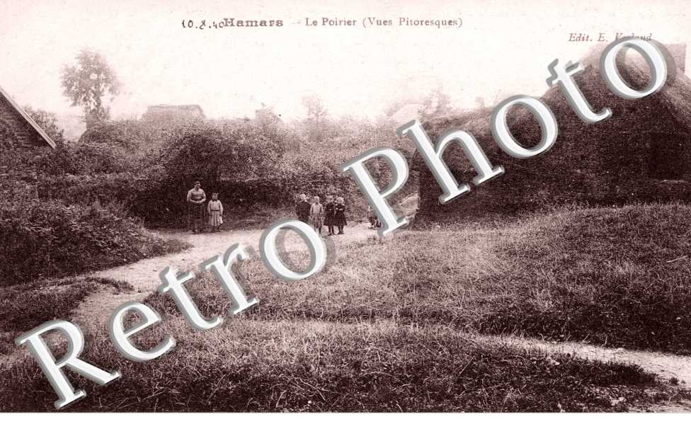 Le Poirier