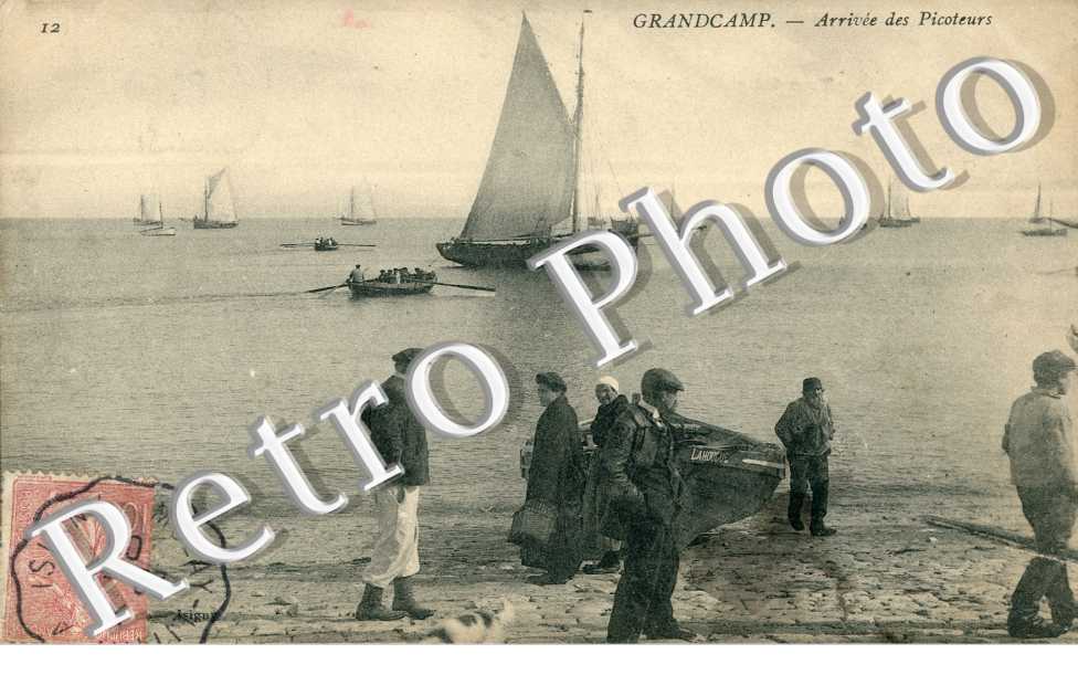 arrivee des picoteurs