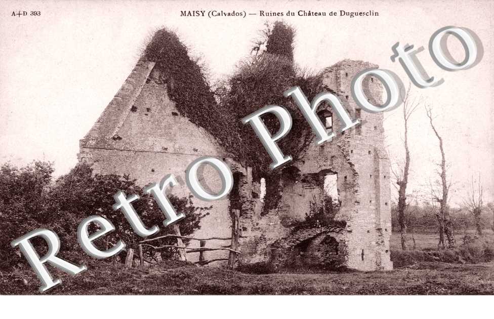 MAISY - Ruines du château de Duguesclin