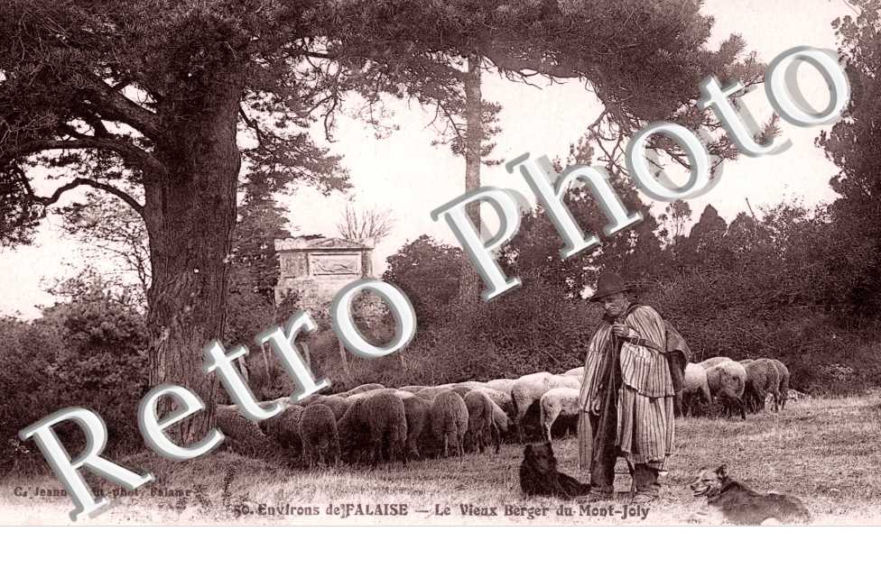 Vieux Berger du Mont Joly