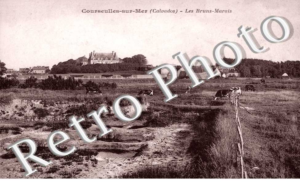les bruns marais