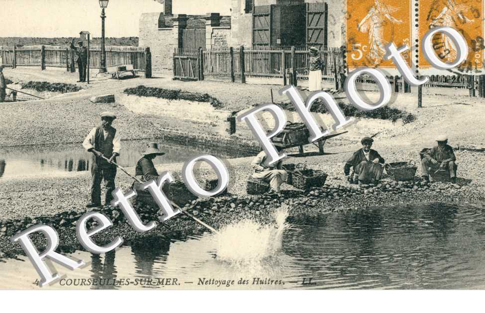 netoyage des huitres