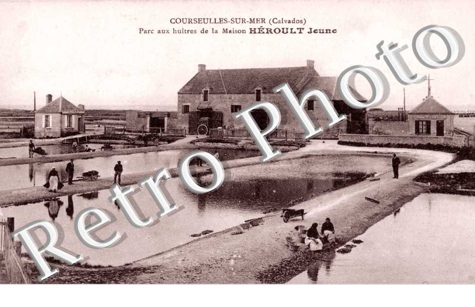 parc uax Huitres de la maiosn Heroult Jeune