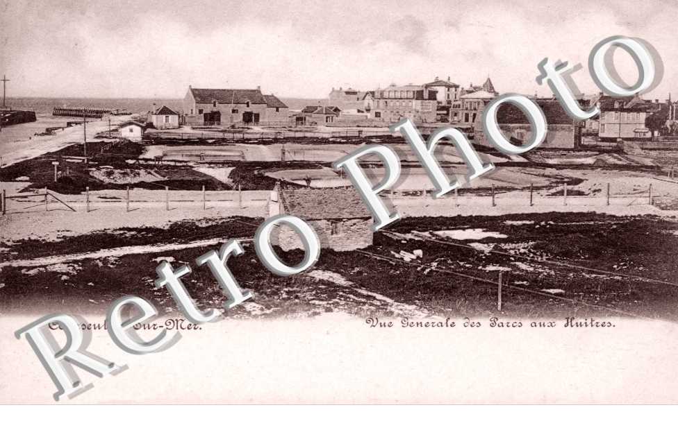 vue generale des parcs aux huitres