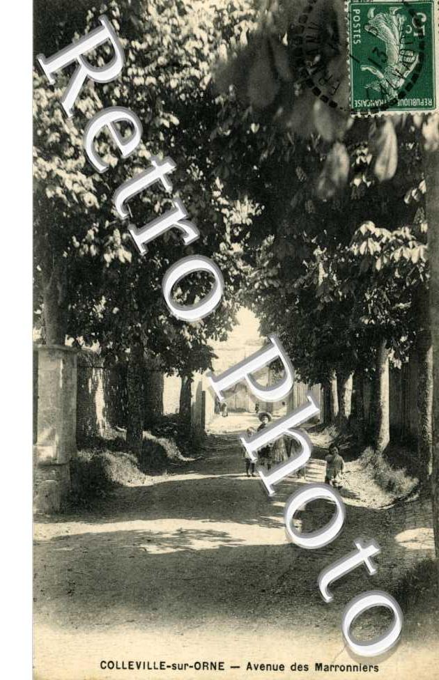 avenue des Marronniers  Colleville sur Orne