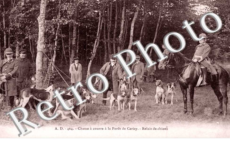 chasse a courre a la foret de Cerisy