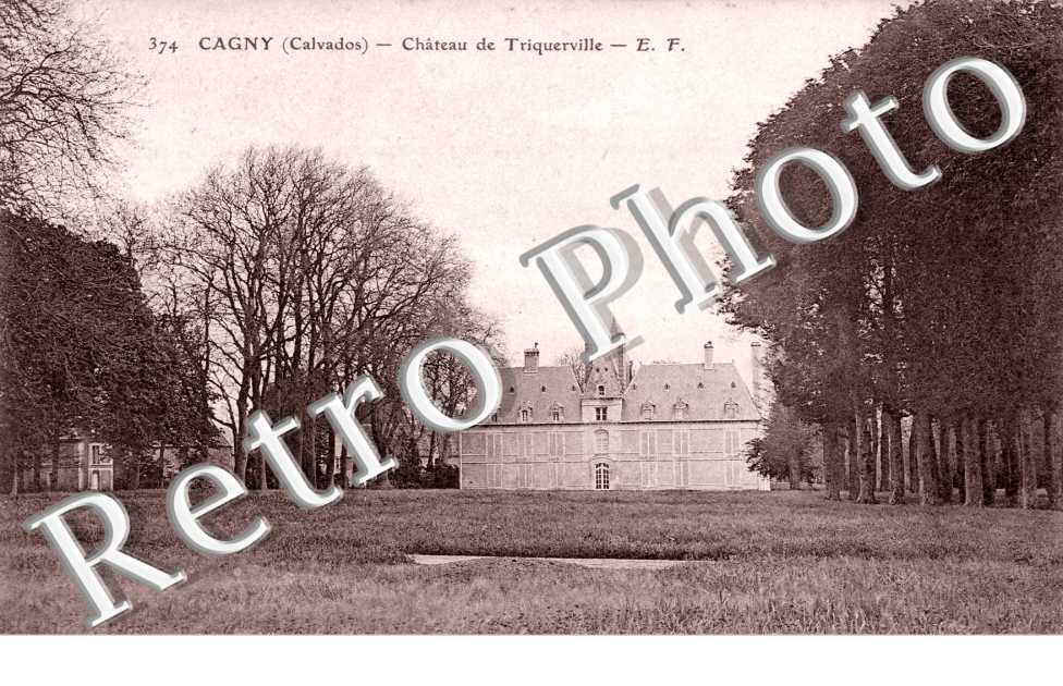 le chateau de Triquerville