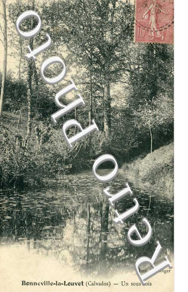 un sous-bois