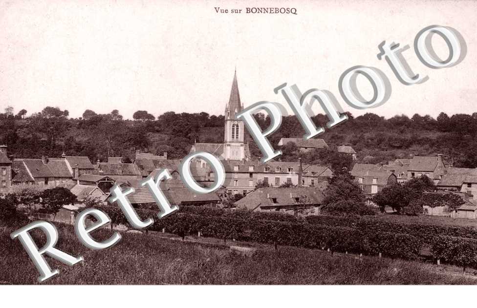 vue