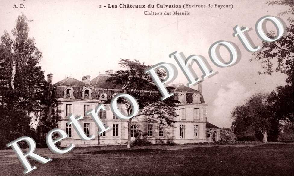 Château des Mesnils