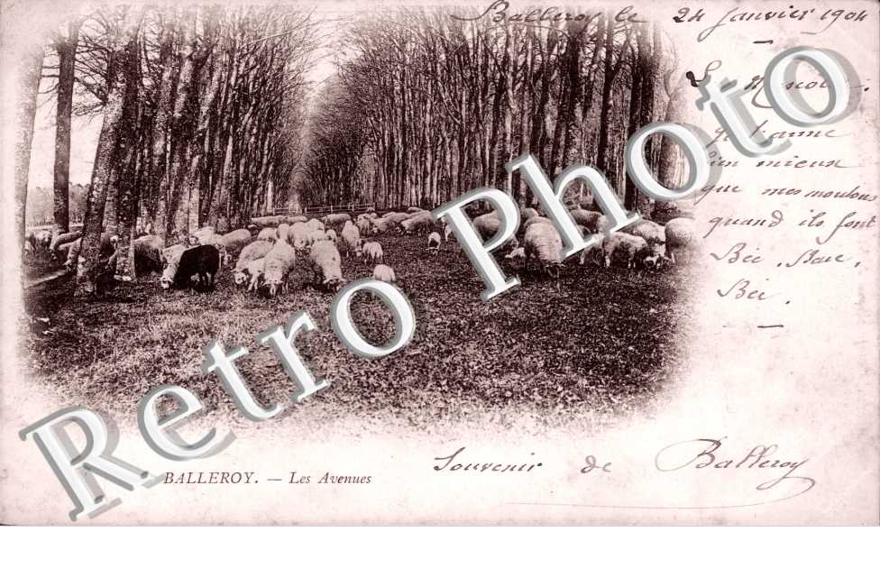 les avenues