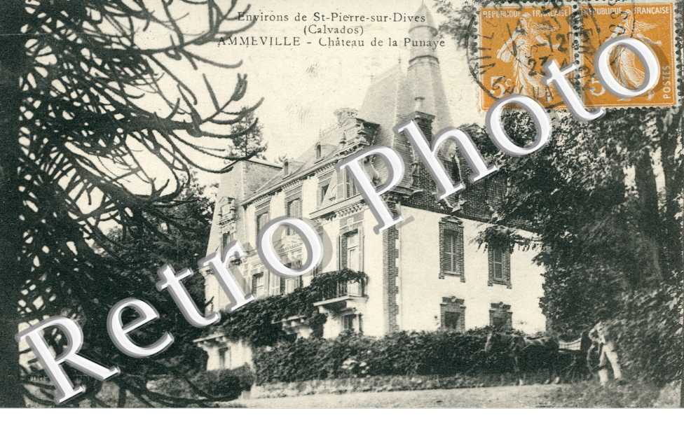 chateau de la Punaye