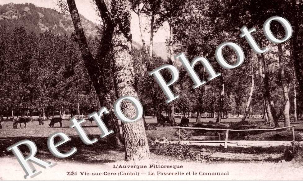 la passerelle et le communal