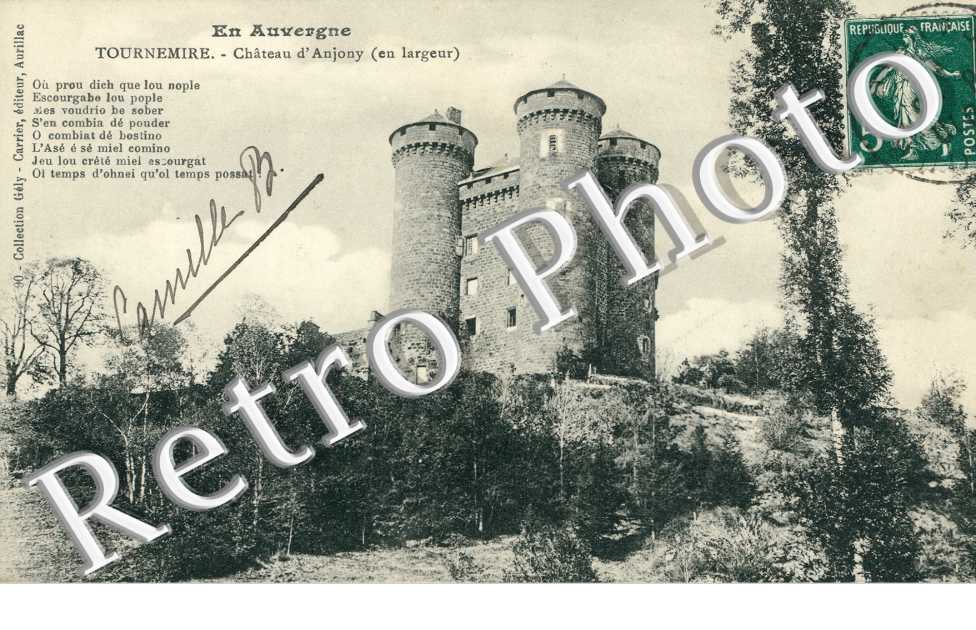 Chateau d'Anjony