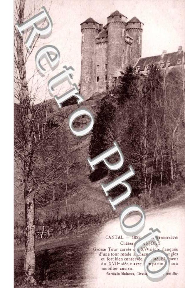 Chateau d'Anjony