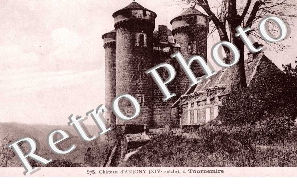 Chateau d'Anjony