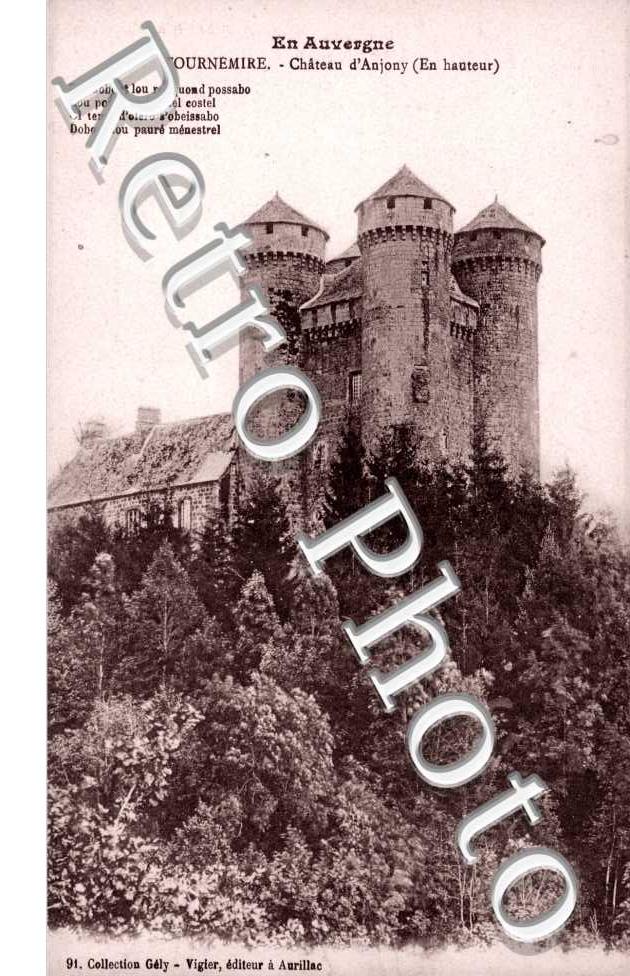 Chateau d'Anjony