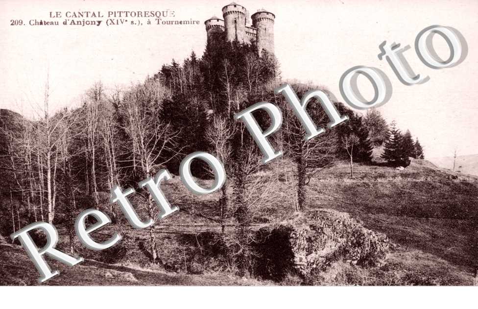 Chateau d'Anjony
