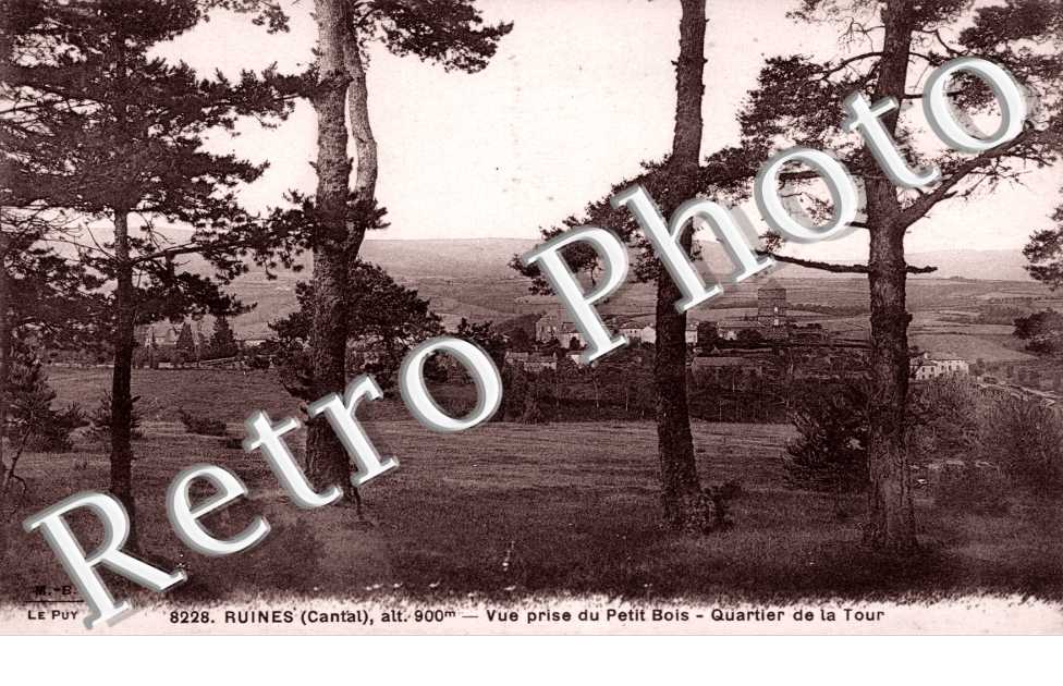 vue prise du petit bois, quartier de la tour