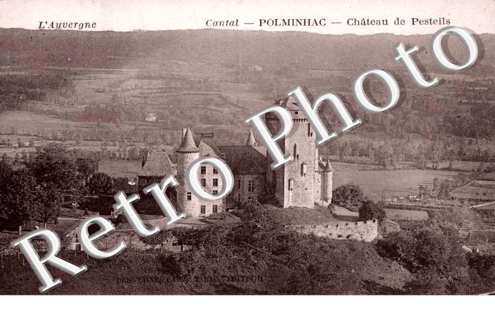 le chateau de Pesteils