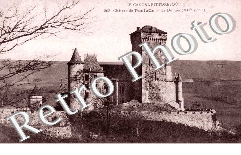le chateau de Pesteils