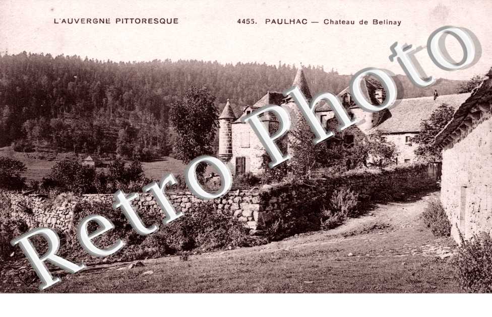 Chateau de Belinay