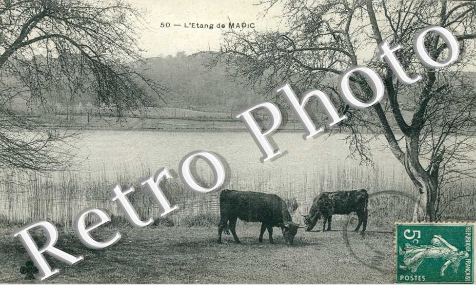 L'etang