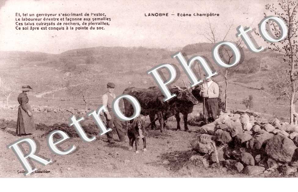 Scene Champetre