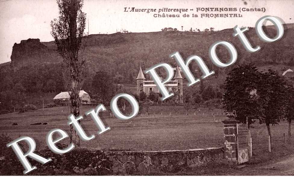 Chateau  de la fromental