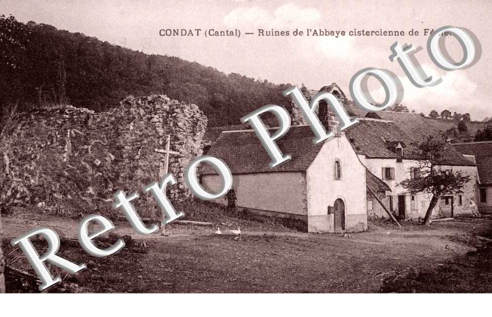 ruines de l'abbaye cistercienne de feniers
