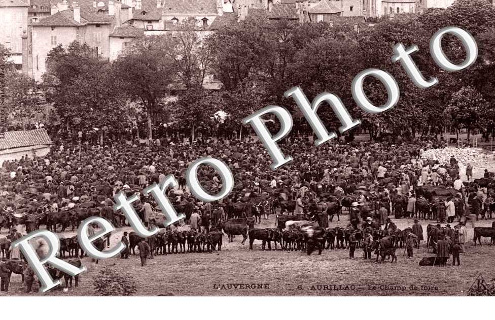 le champ de foire