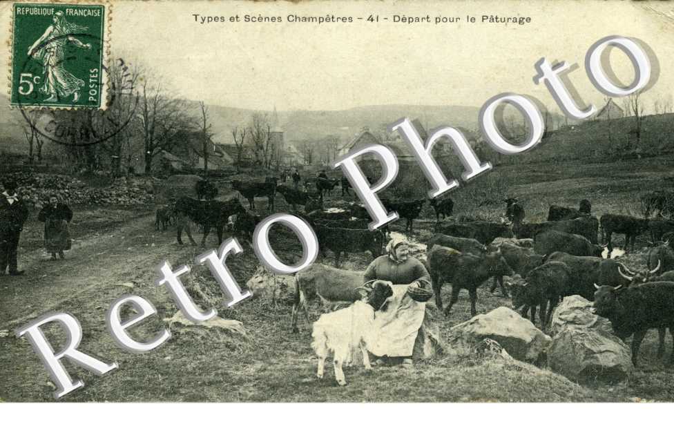 depart pour le paturage