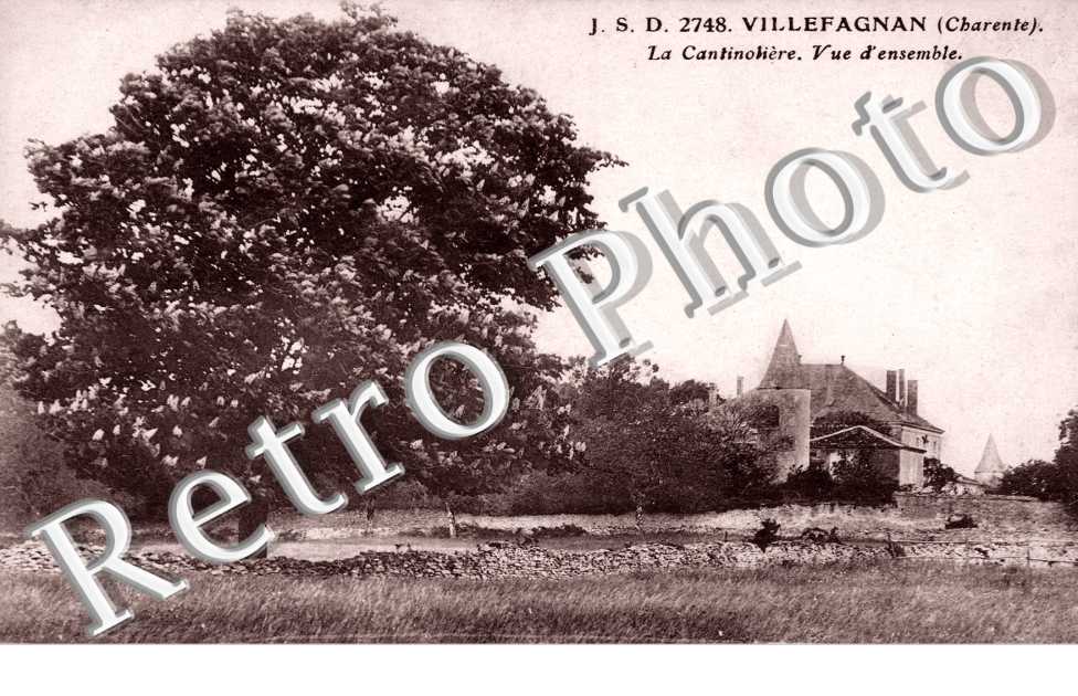 La Cantinolière - Vue d'Ensemble