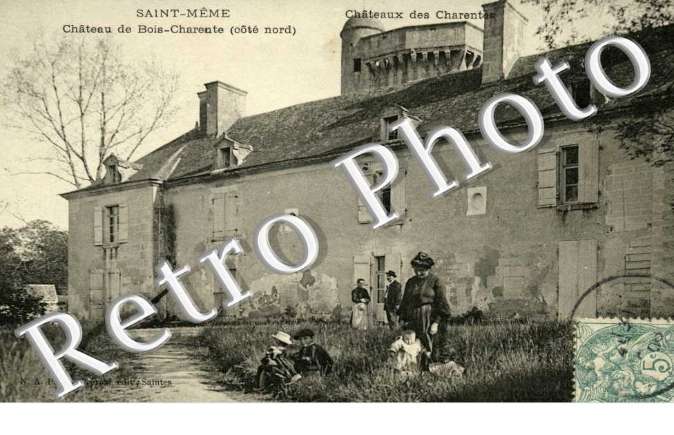 chateau de Bois-Charente (cote nord)