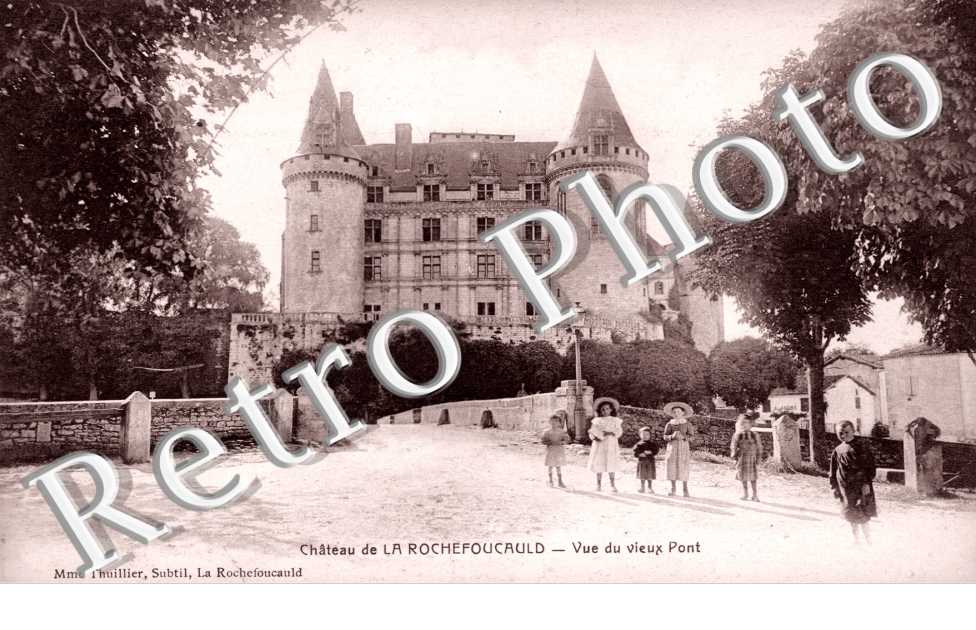 le chateau vue du vieux pont