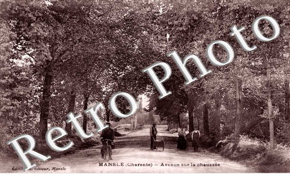 Avenue sur la Chaussee