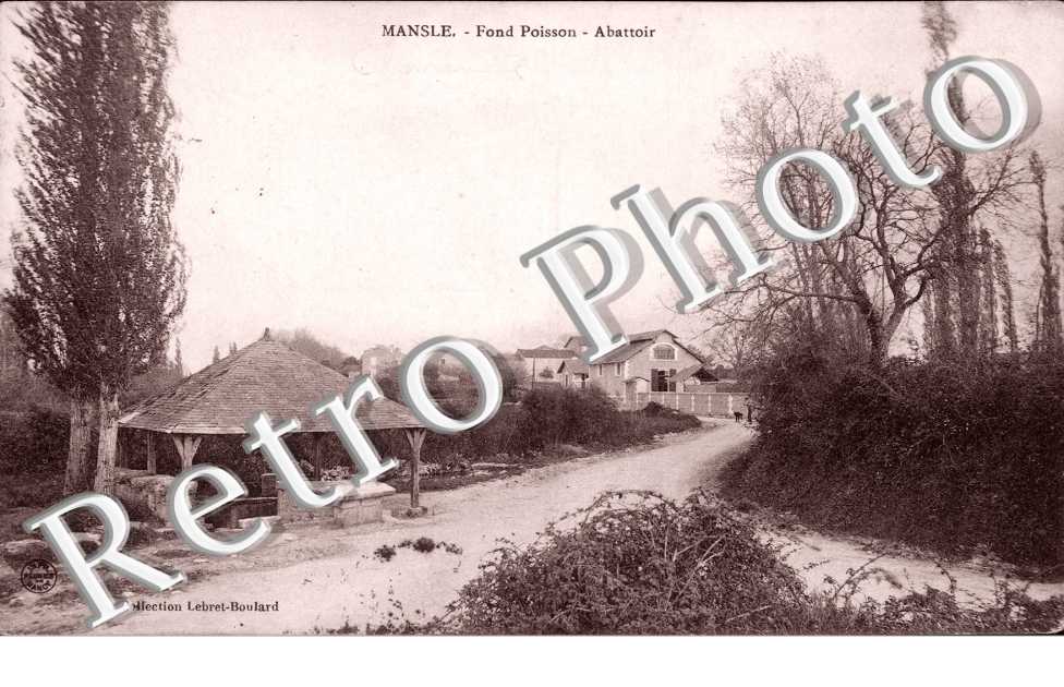 fond Poisson _ Abattoir