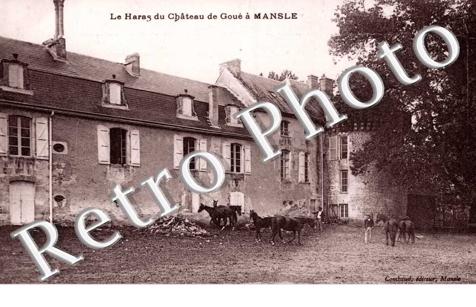 Les Haras du Chateau de Goue