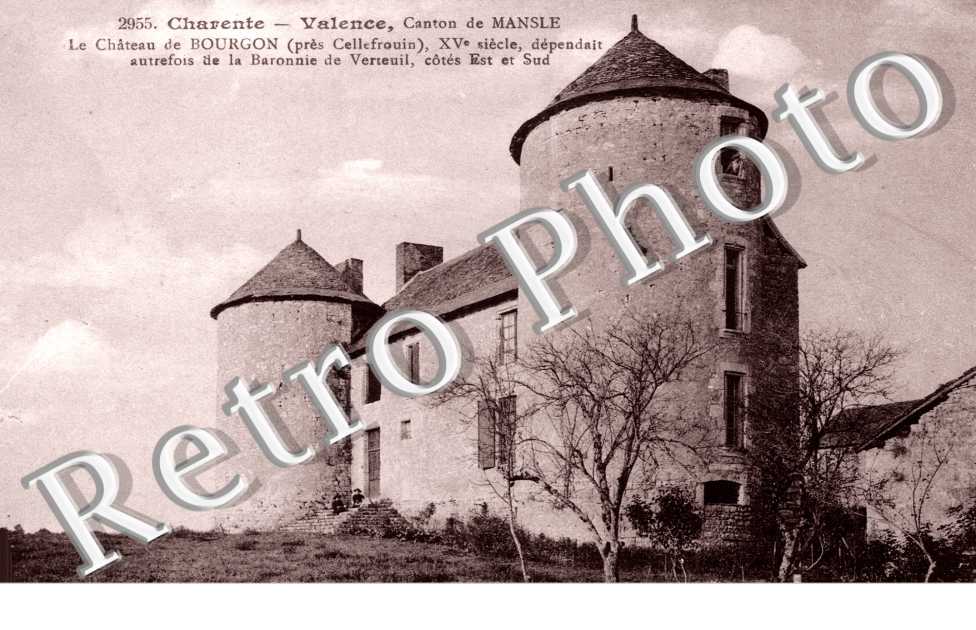 Chateau de Bourgon