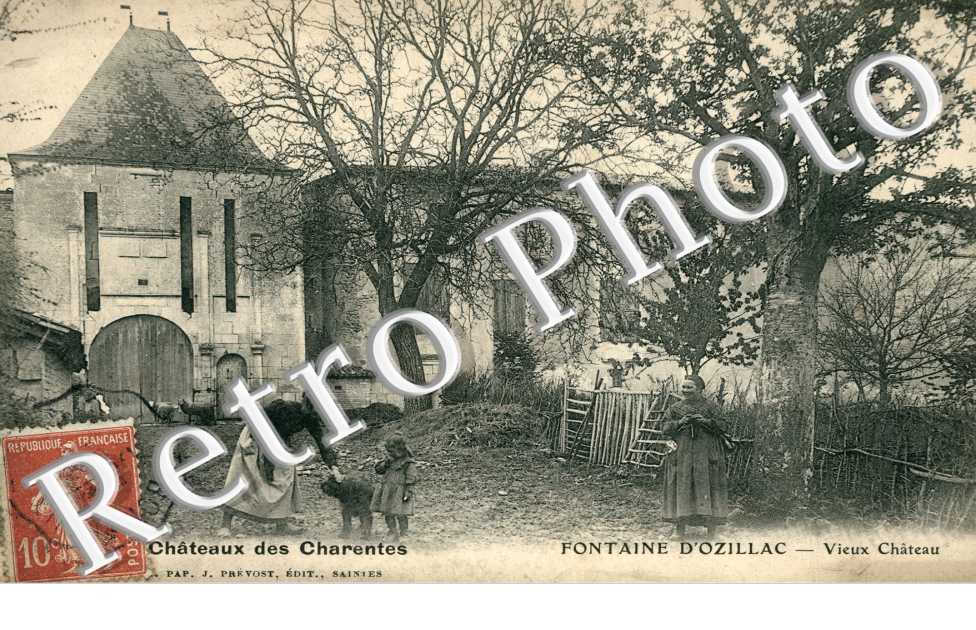 Vieux Chateau