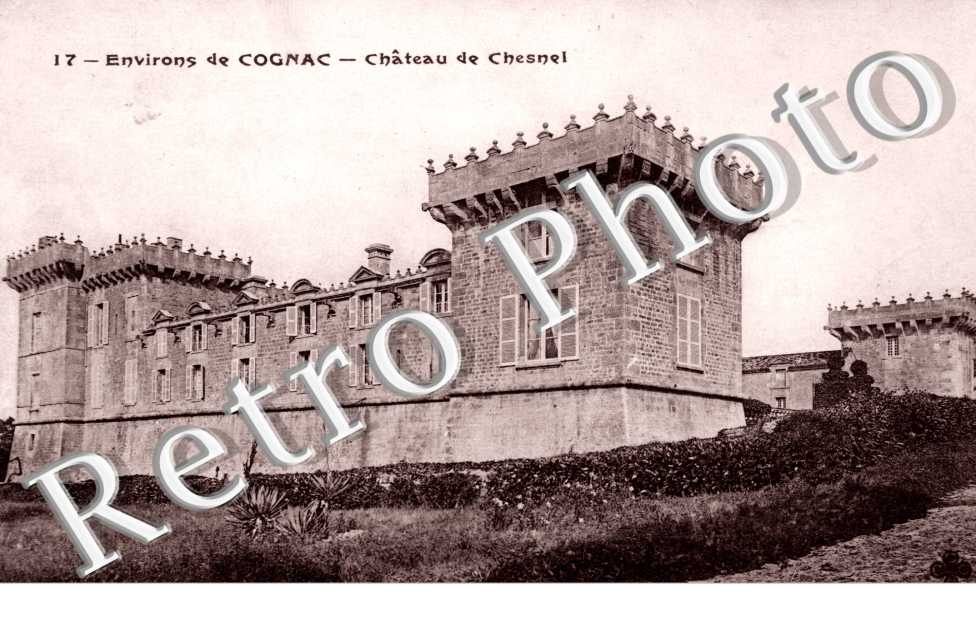 Chateau de Chesnel
