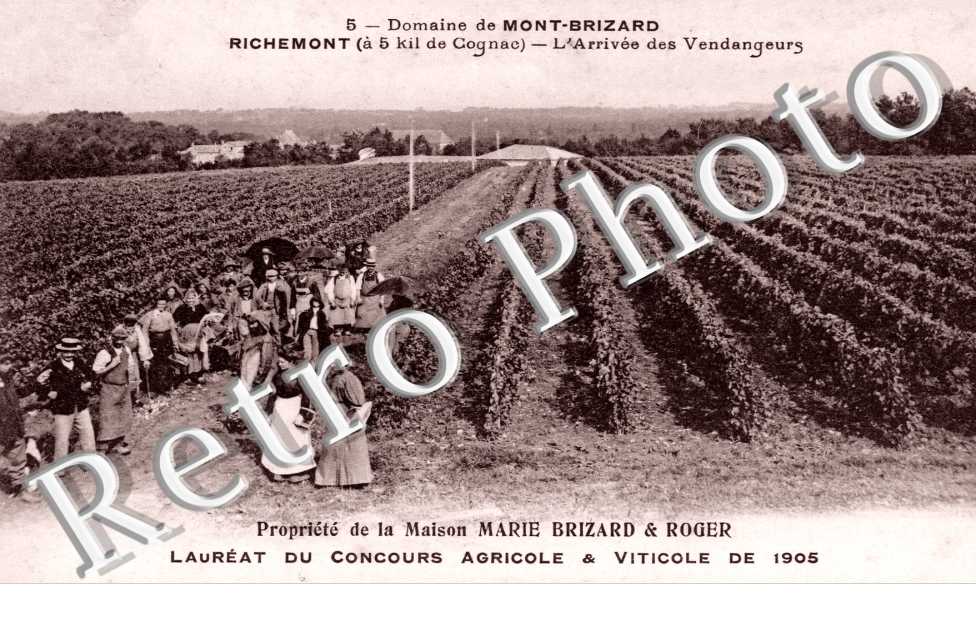Arrivee des Vendangeurs, Propriete de la Maison Marie Brizard et Roger