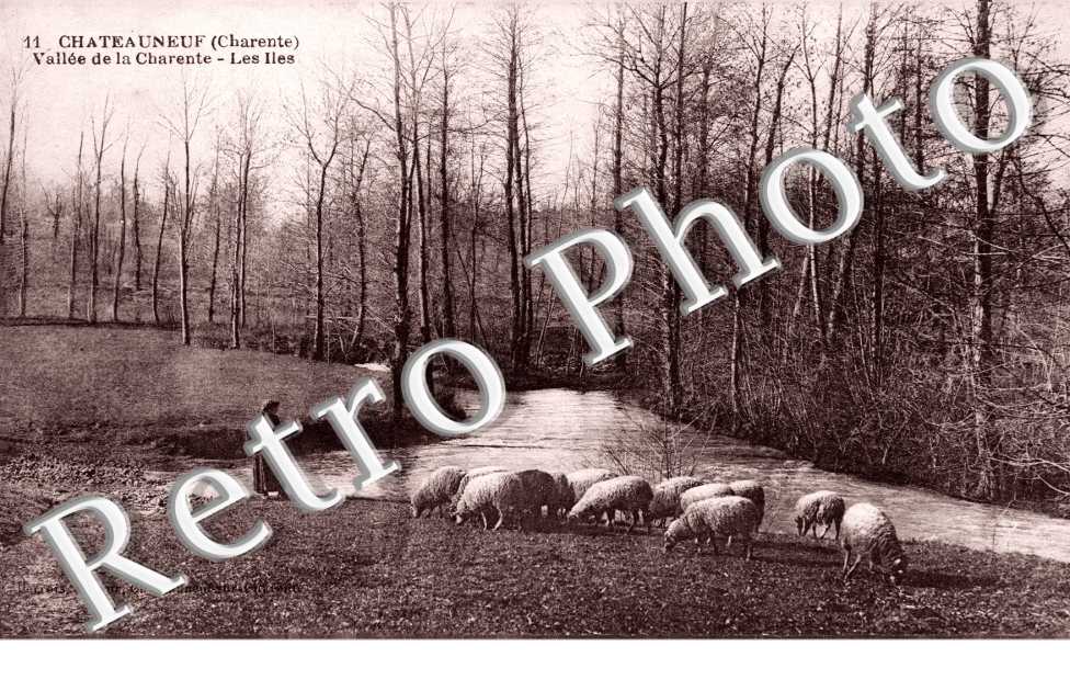 Vallee de la Charente - les Iles