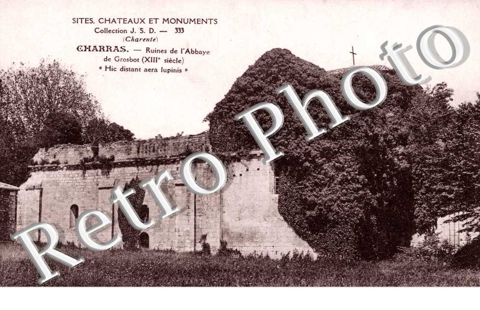 Ruines de l'Abbaye 